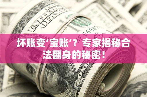 武汉坏账变‘宝账’？专家揭秘合法翻身的秘密！