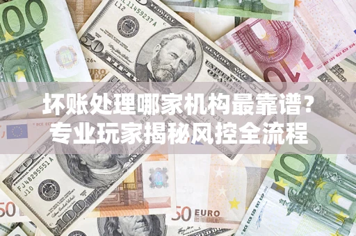 武汉坏账处理哪家机构最靠谱？专业玩家揭秘风控全流程