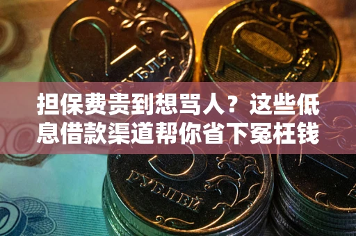 武汉担保费贵到想骂人？这些低息借款渠道帮你省下冤枉钱