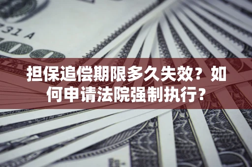 武汉担保追偿期限多久失效？如何申请法院强制执行？