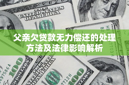 武汉父亲欠贷款无力偿还的处理方法及法律影响解析