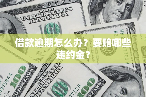 武汉借款逾期怎么办？要赔哪些违约金？