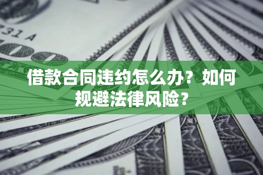 武汉借款合同违约怎么办？如何规避法律风险？