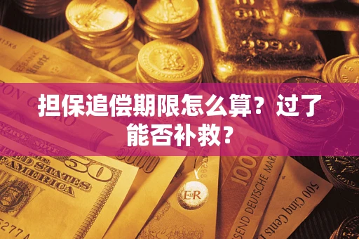 武汉担保追偿期限怎么算？过了能否补救？